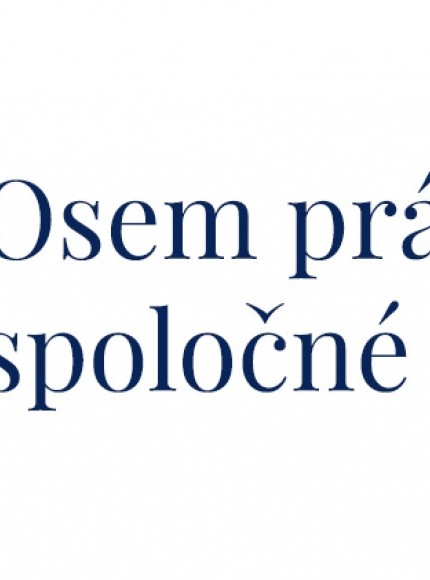 Koľko názorov má osem právnikov?
